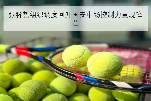 张稀哲组织调度回升国安中场控制力重现锋芒
